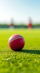 Naklejka premium Sunlit Cricket Vignette Close-Up of Textured Ball on Verdant Field - International Sports Dynamics and Strategic Team Interactions in Modern Marketing