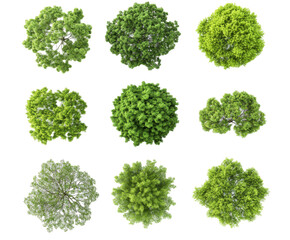 Collection of Lush Green Tree Canopies - Top-Down View for Nature Design , isolated on white background PNG