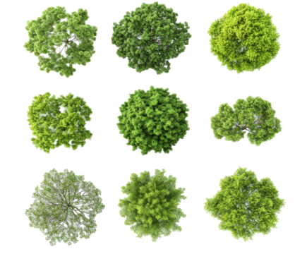 Collection of Lush Green Tree Canopies - Top-Down View for Nature Design , isolated on white background PNG