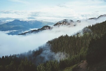 Misty Mountain Landscape with Lush Green Forests