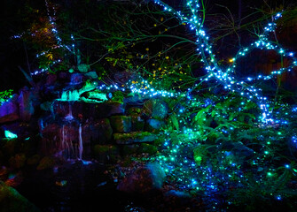 Trees decorated with colorful lights. Christmas background. North Vancouver, Canada