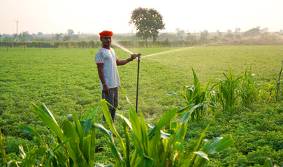 Indian farmer working in green chickpea garden