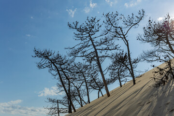 Dune of Pilat in France