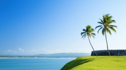 Tropical Beach with Palm Trees