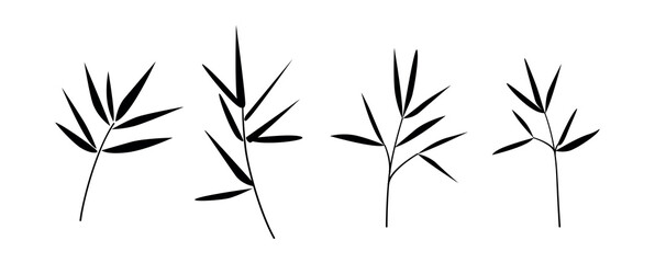 Bamboo branches and stems silhouettes. Hand drawn bamboo tree leaves, foliage. Botanical drawing collection. Vector.