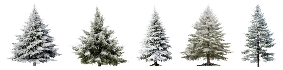 Fototapeta premium PNG Snow-covered evergreen trees landscape, isolated element set, transparent background