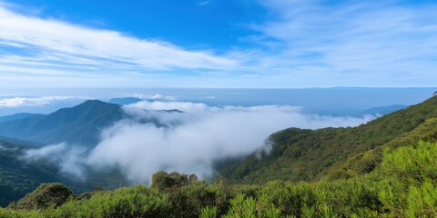 The sky is blue and the clouds are white. The mountains are covered in trees and the sky is clear