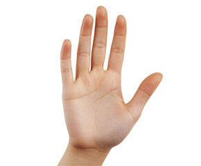 Fototapeta premium A Detailed Close-up of a Light-Skinned Hand with Open Palm and Fingers , isolated on white background PNG