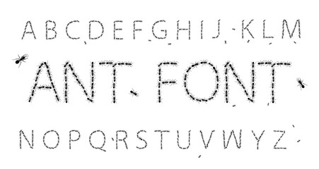 Ant font. Realistic black ant on white background. Path and ants. Vector. © NADEZHDA