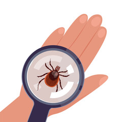 magnifying glass enlarges tick insect on hand on hand on white background. Top view. Vector.