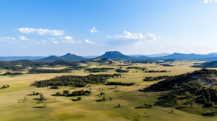 Vast Savanna Landscape Under a Blue Sky