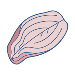 fish fillet vector icon, fish fillet vector illustration -simple illustration of fish fillet, perfect for fish fillet logos and icons and themed design 