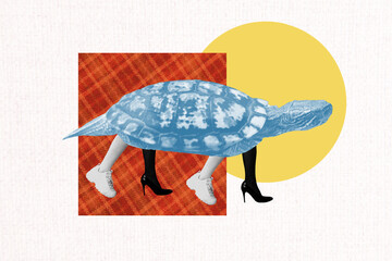 Composite art 3d creative image collage of anonym human instead body turtle animal wild fauna summer travel underwater life