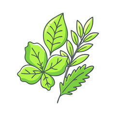 fresh herbs vector icon, fresh herbs vector illustration -simple illustration of fresh herbs, perfect for fresh herbs logos and icons and themed design 