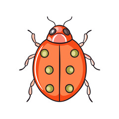 ladybug vector icon, ladybug vector illustration -simple illustration of ladybug, perfect for ladybug logos and icons and themed design 