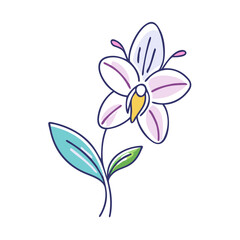 orchid bloom vector icon, orchid bloom vector illustration -simple illustration of orchid bloom, perfect for orchid bloom logos and icons and themed design 