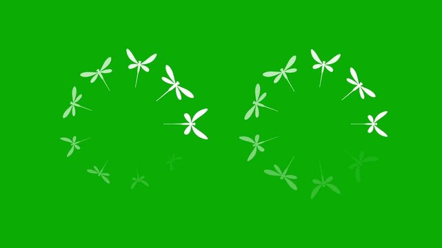 Circular buffering dragonflies motion graphics with green screen background