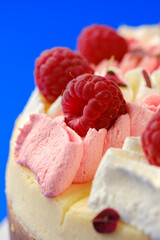 Elegant Raspberry on Cheesecake with Dual-Tone Whipped Cream