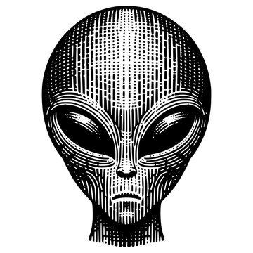 Extraterrestrial Alien