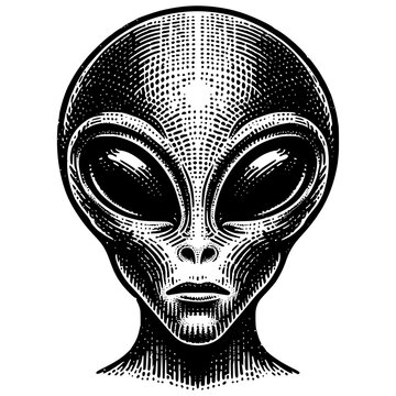 Extraterrestrial Alien