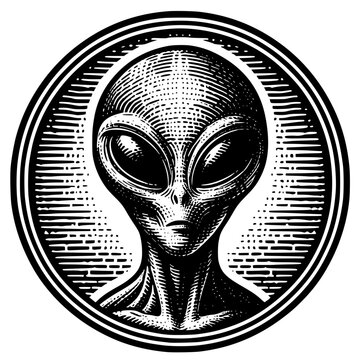 Extraterrestrial Alien