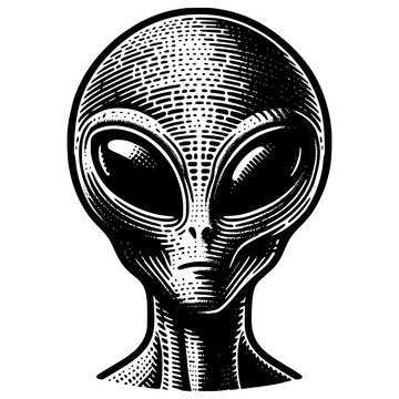 Extraterrestrial Alien