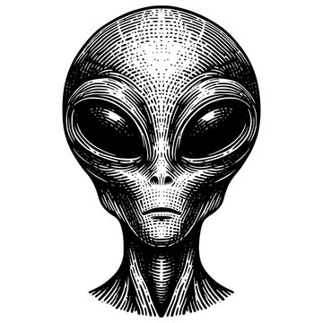 Extraterrestrial Alien