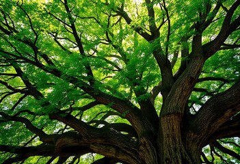 Majestic Ancient Tree Lush Green Canopy Strong Branches Sunlight