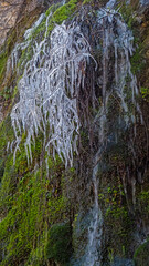 Icicles on dry branches at a waterfall.