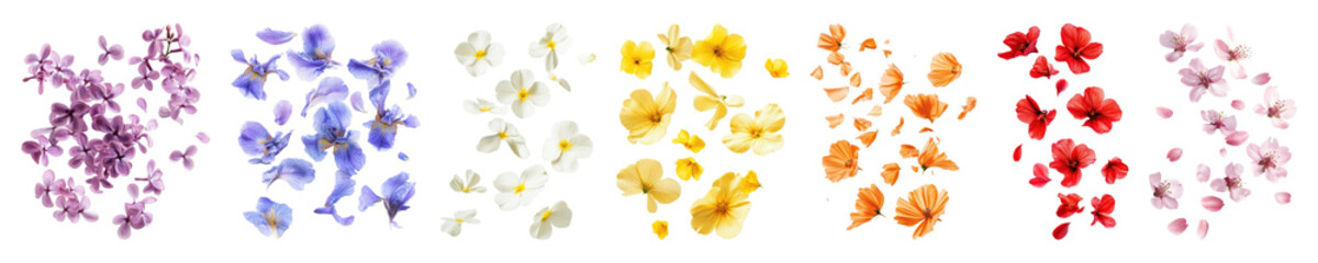 PNG Flowers and petals floating, isolated element set, transparent background