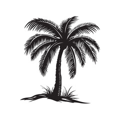 palm tree silhouette