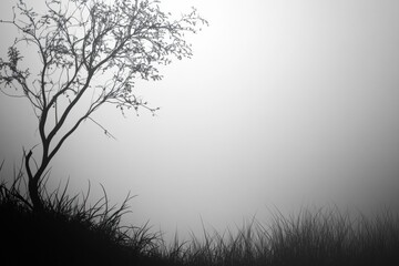 Obraz premium Atmospheric landscape featuring a solitary tree in fog with ample space for creative text and design elements. Generative AI