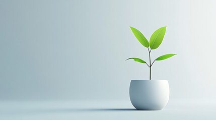 Fresh Green Plant Growing in a Stylish Pot