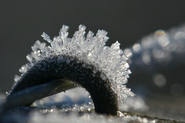Givre dans les vignes 3 © Guy Pracros