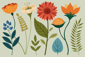 hand-drawn-botanical-flower-collection