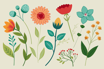 hand-drawn-botanical-flower-collection