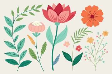 hand-drawn-botanical-flower-collection