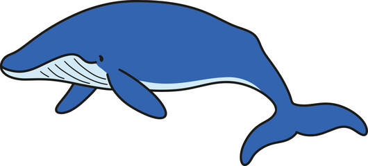 Simple and adorable Blue Whale illustration