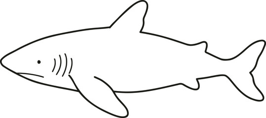 Simple and adorable shark line art illustration