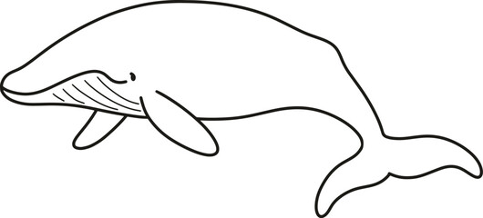 Simple and adorable Blue Whale line art illustration