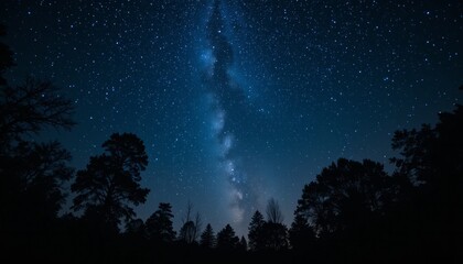 Majestic Night Sky with the Milky Way Galaxy Shining Brightly Above Silhouetted Trees