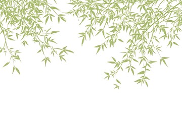 Fototapeta premium Elegant Bamboo Leaf Design