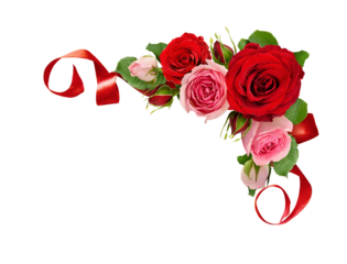 Red and pink rose flowers with green leaves and silk ribbon in a corner arrangement isolated on white or transparent background