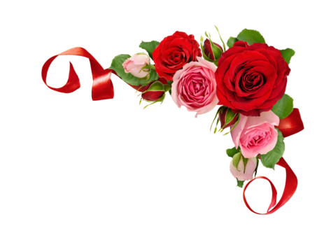Red and pink rose flowers with green leaves and silk ribbon in a corner arrangement isolated on white or transparent background