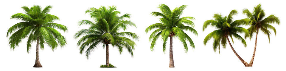 Naklejka premium Coconut tree tropical plant png cut out element set, transparent background