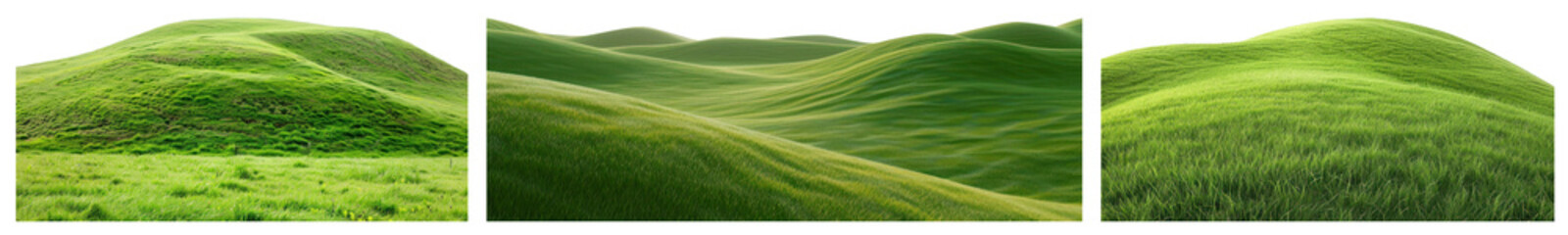 Outdoor field nature border png cut out element set, transparent background