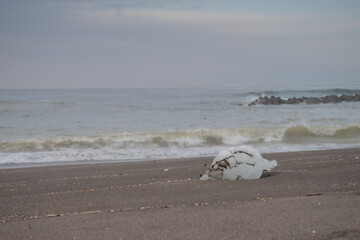 砂浜に残された流氷のかけら  © kinpouge