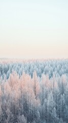 Twilight tranquility a frosty forest clearing in winter