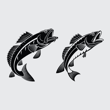 Lingcod fish image silhouette vector art and illustration