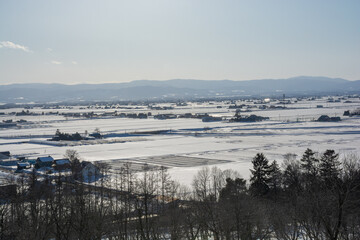 融雪剤が撒かれた水田地帯
